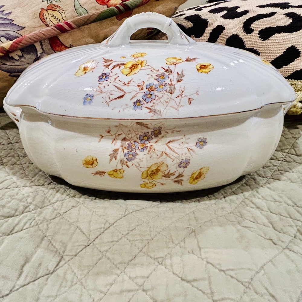 N9-Antique Ironstone Floral Transferware Soup Tureen